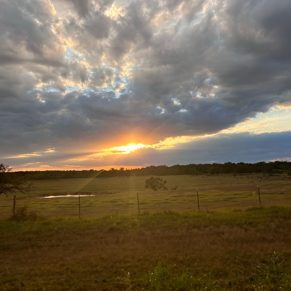 Meet your Posher, Kay - Picture 1 of 1